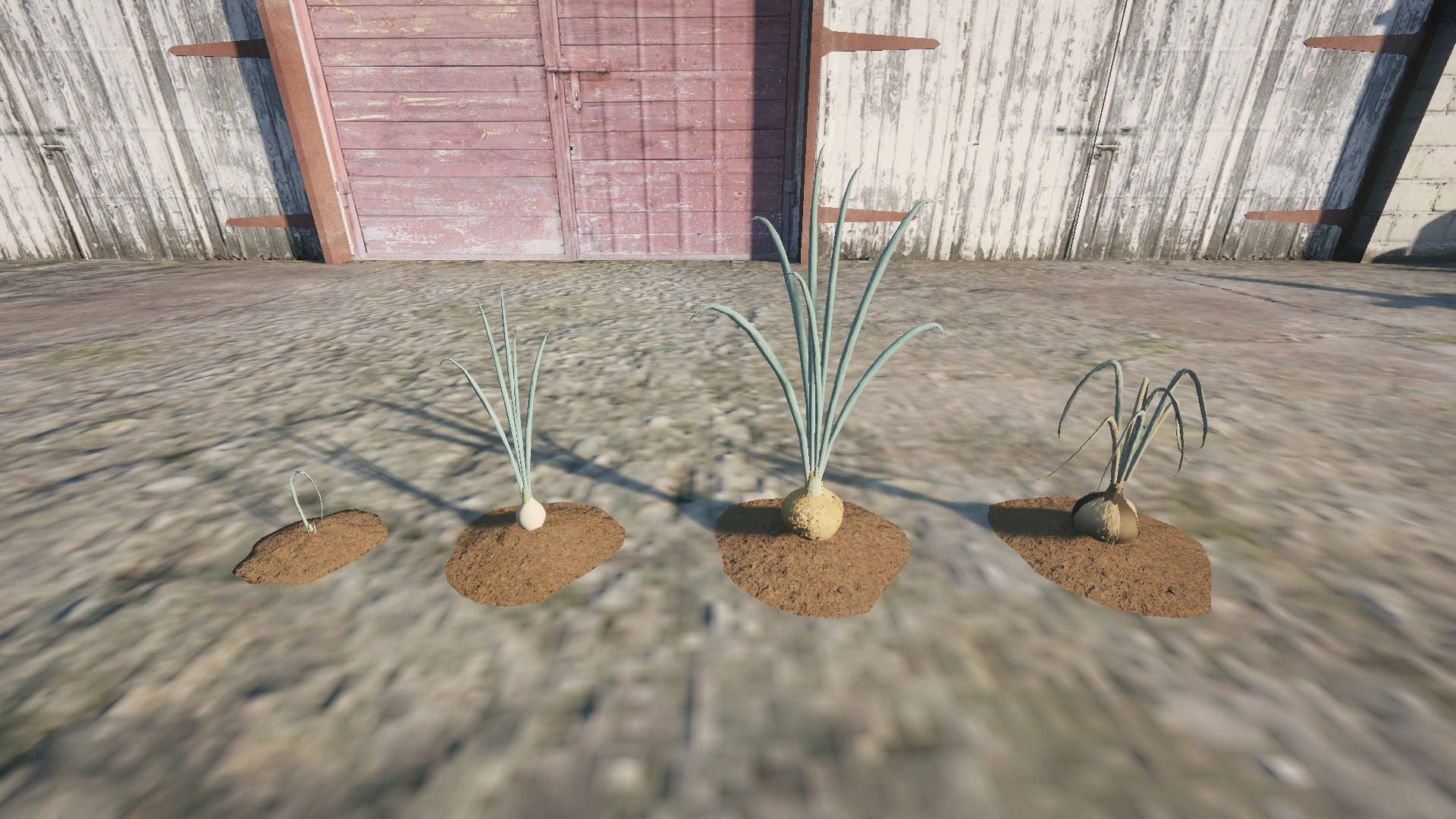 Farm Props: Roots & Bulbs - 6
