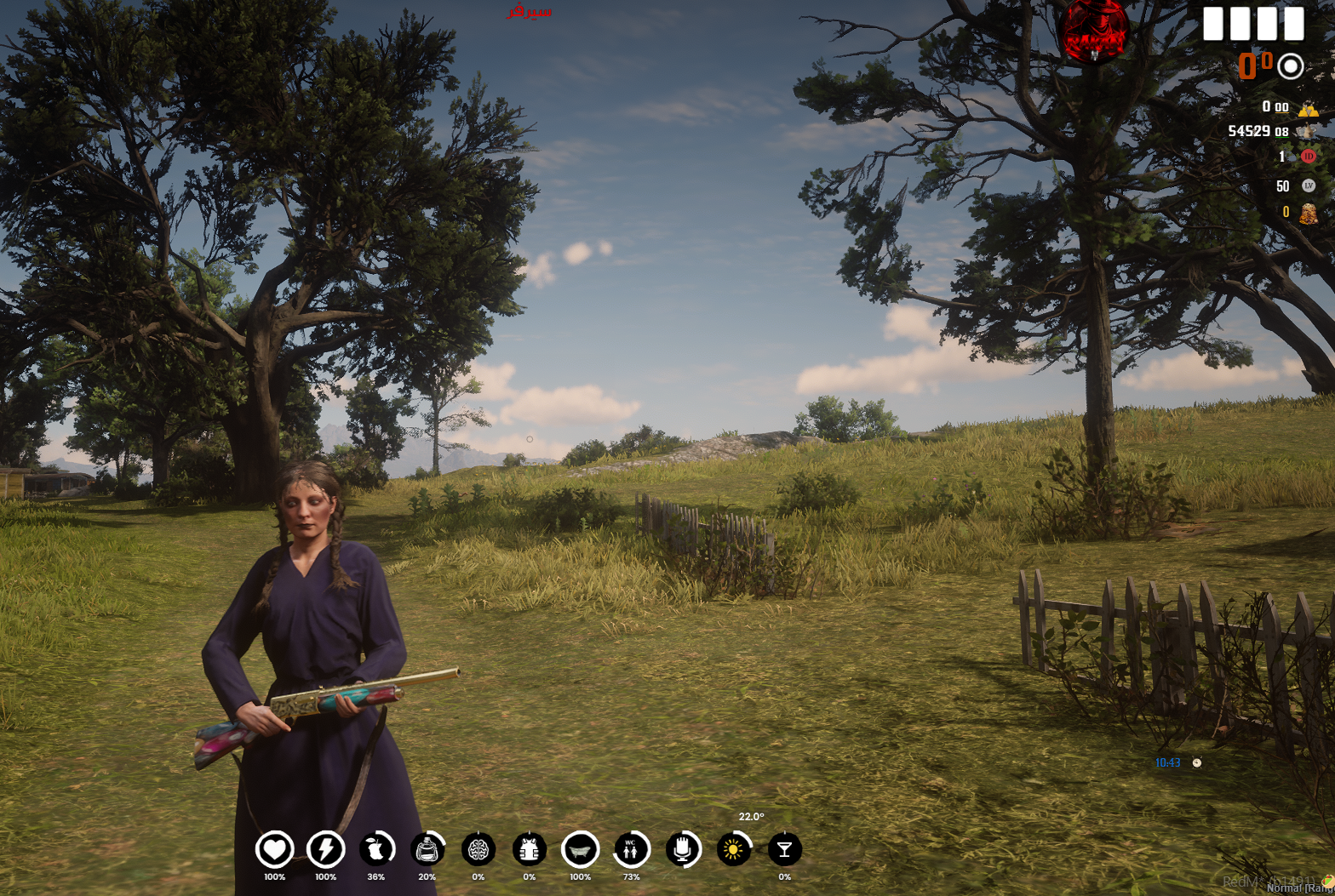 Semi-Auto Shotgun