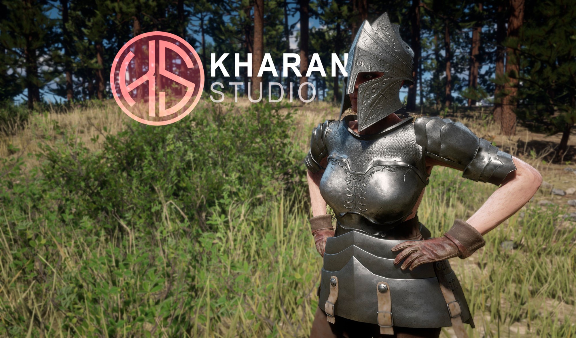 Medieval Armor Sets