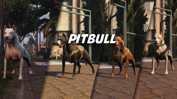 Pitbull