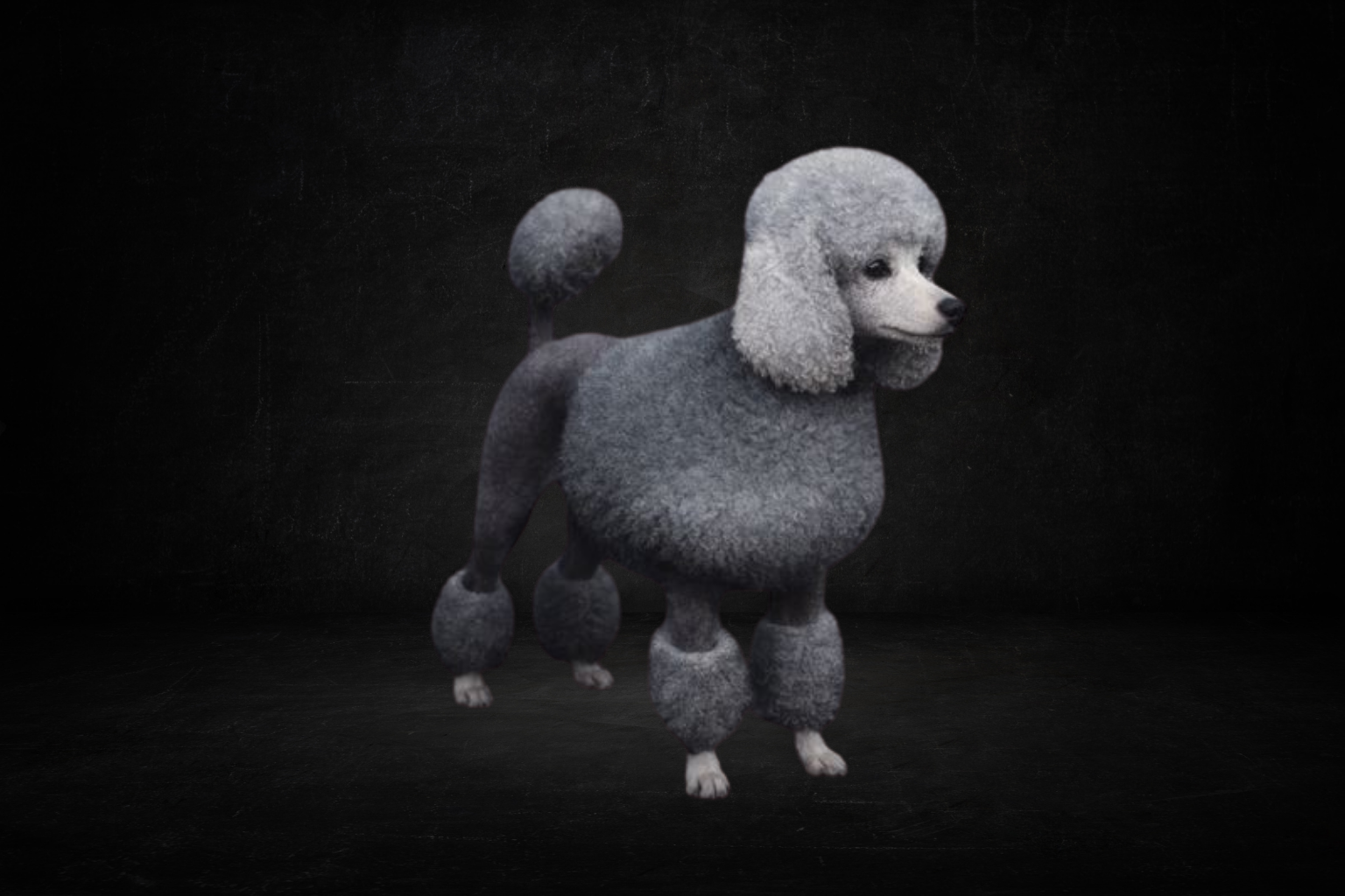 Poodle ( survie )