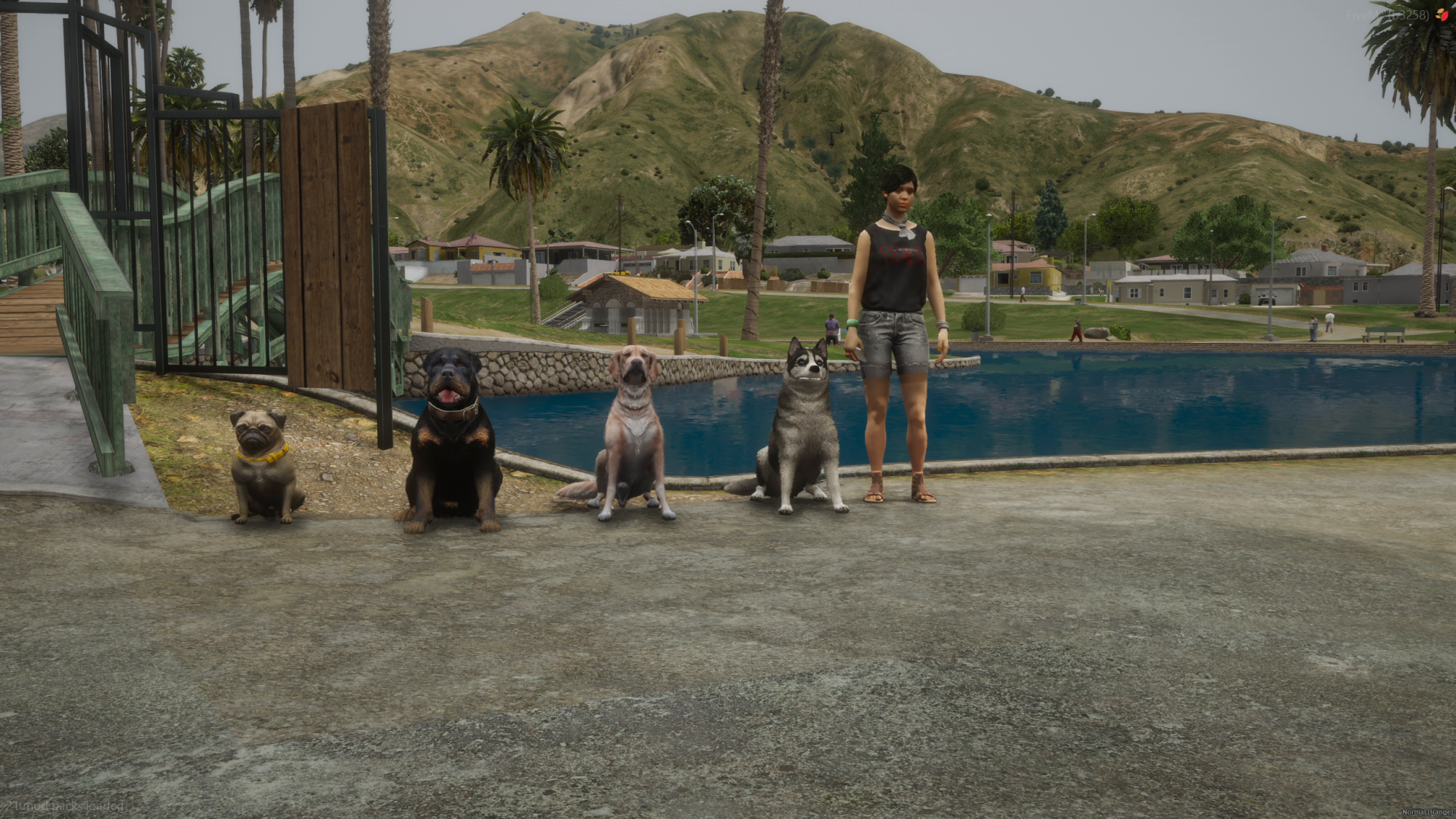 Dog Walker - Image undefined
