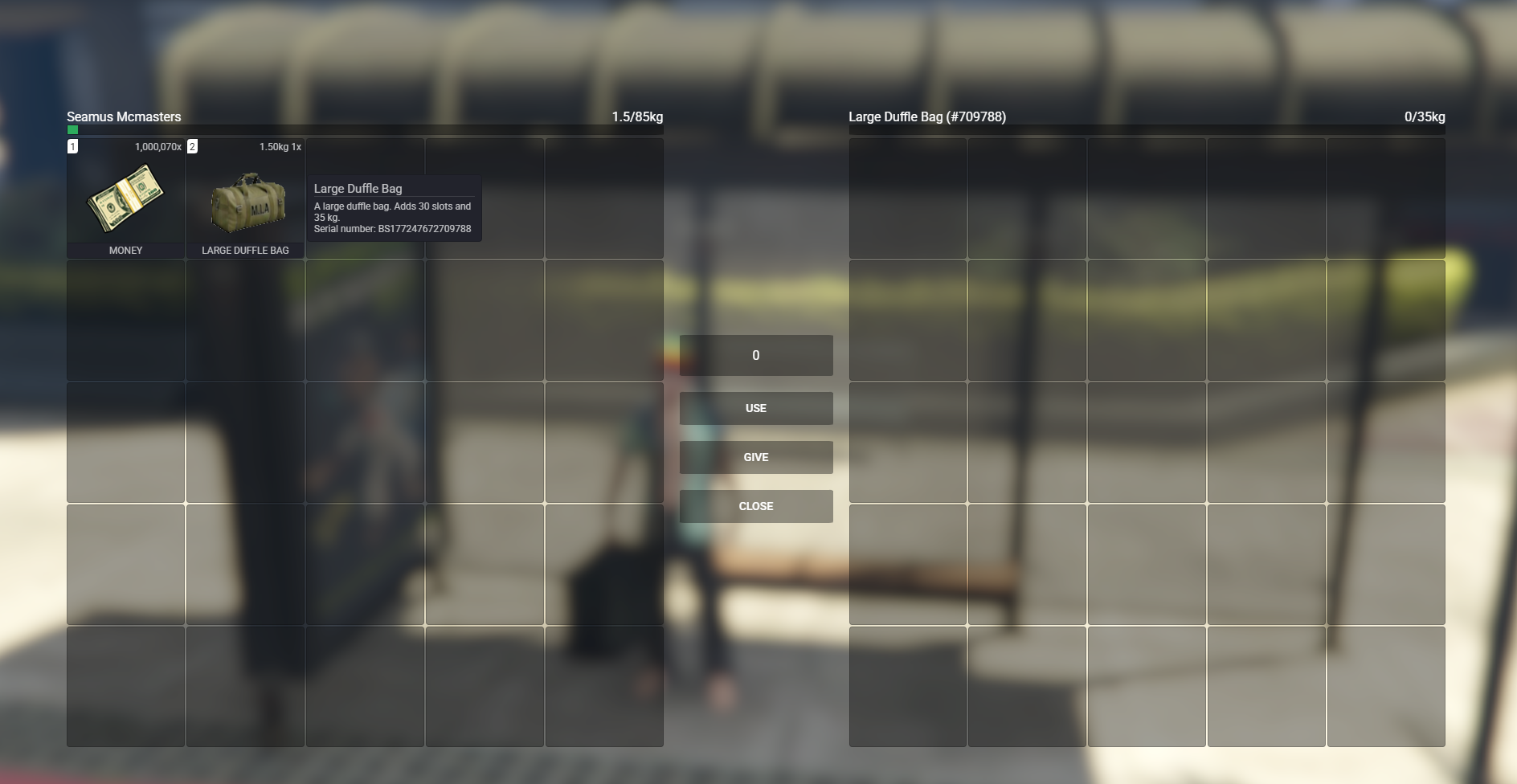 Bag System