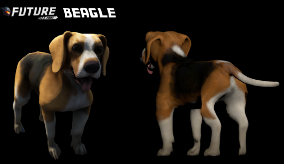 [DOG] [PUPPY] Beagle