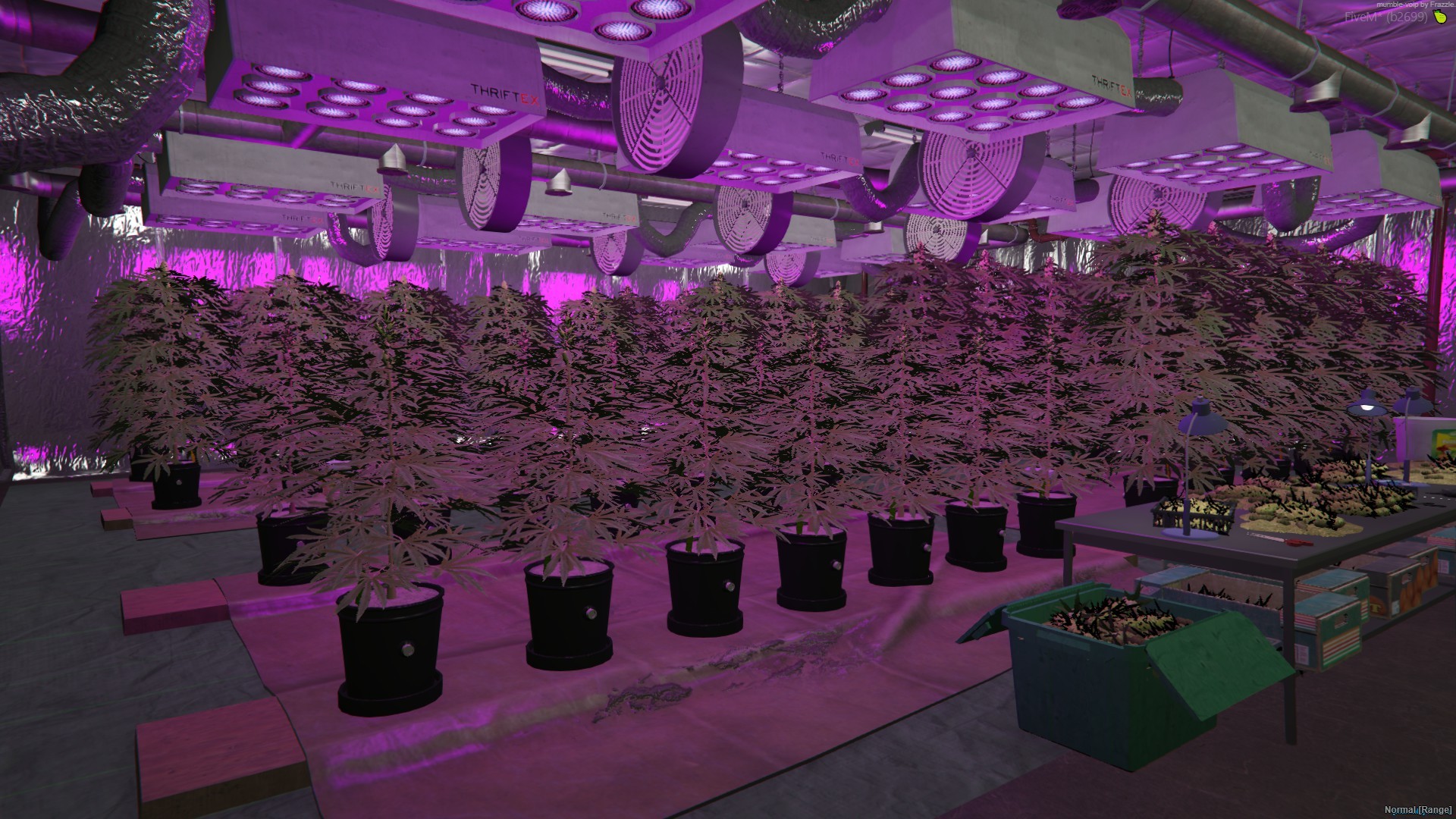 Grow Room Lab Mlo
