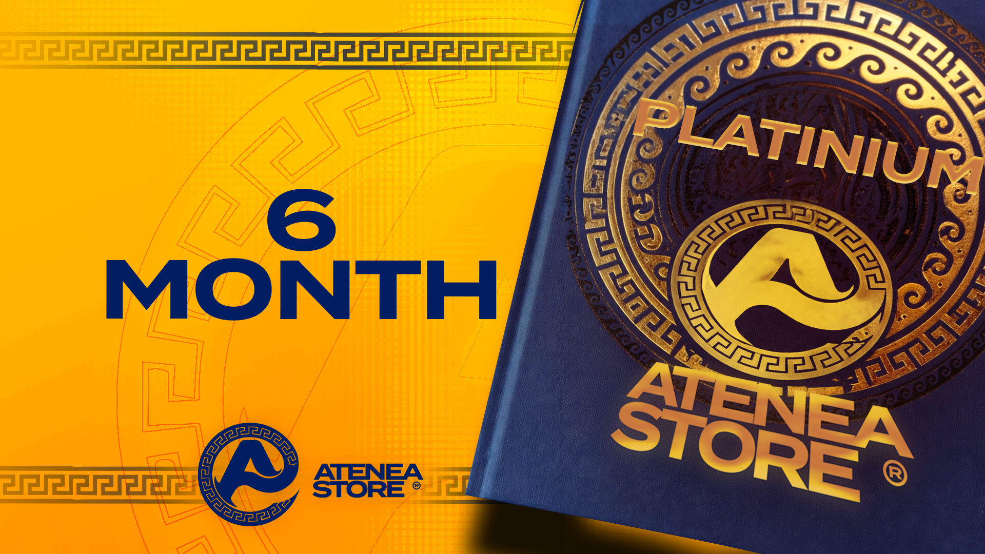 PLATINUM - 6 MONTH