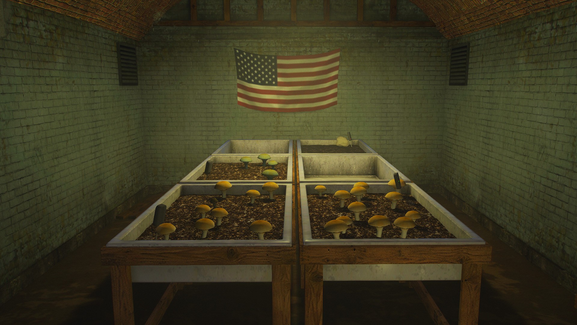 Shrooms Cultivation