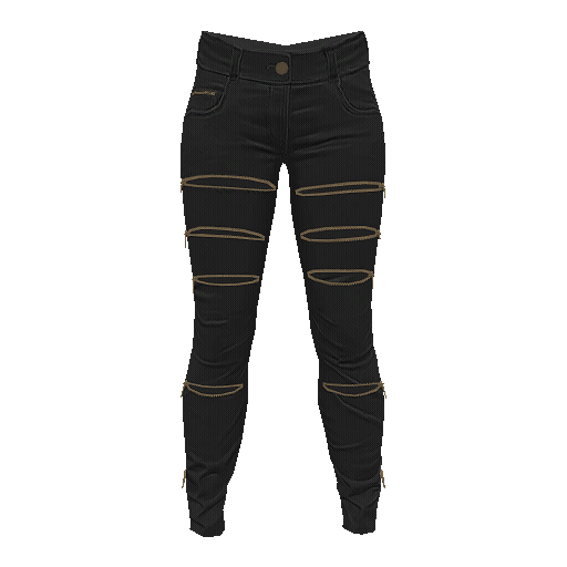 Leather Zipper Pants (F)
