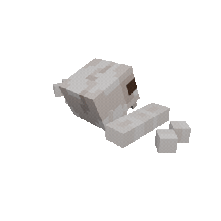 Dino Skull