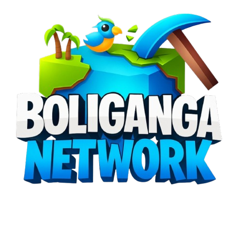 BOLIGANGA NETWORK