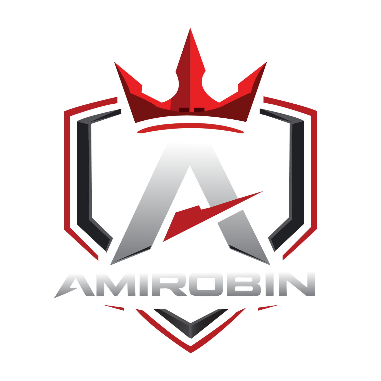 AmiRobin logo