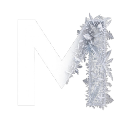 server logo