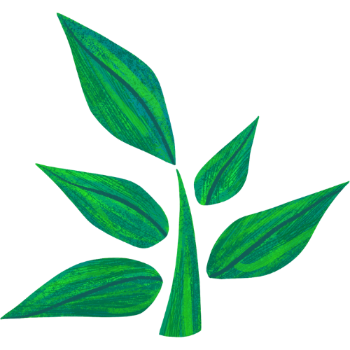 server logo