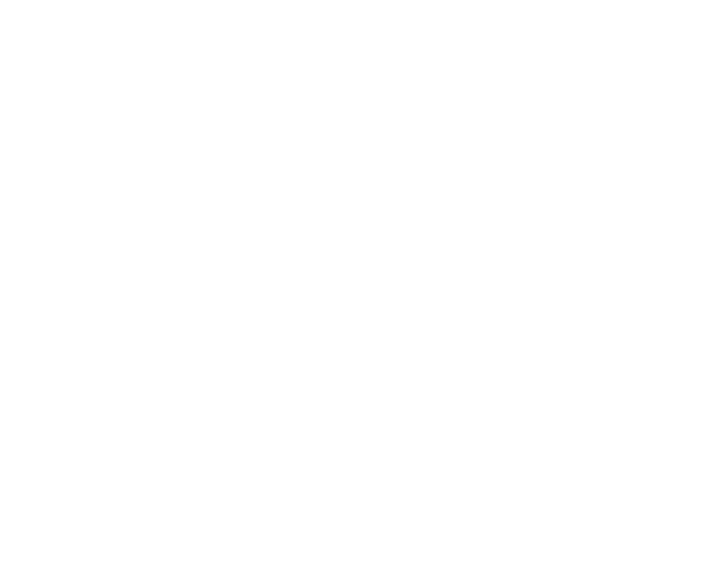 CodeRush