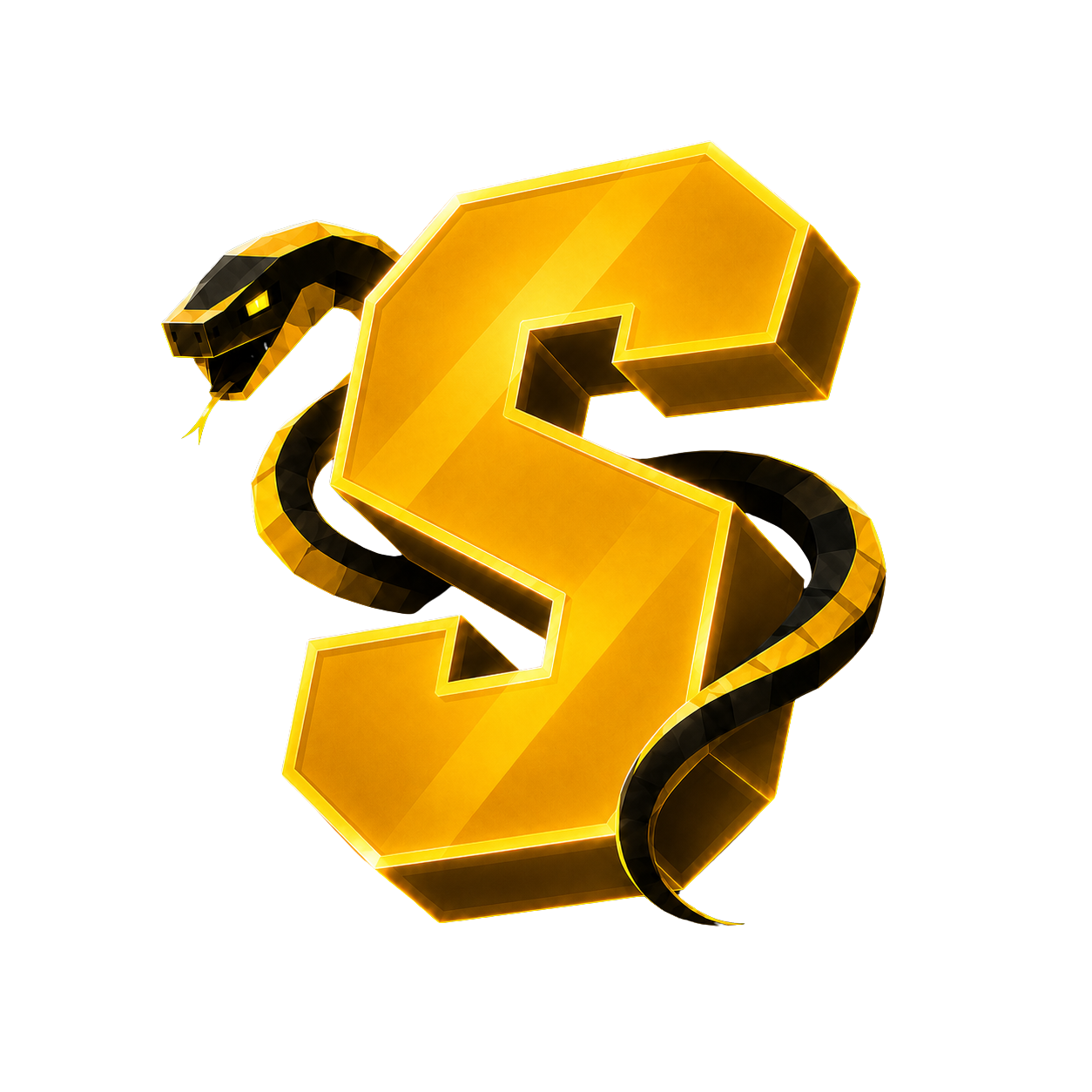 server logo