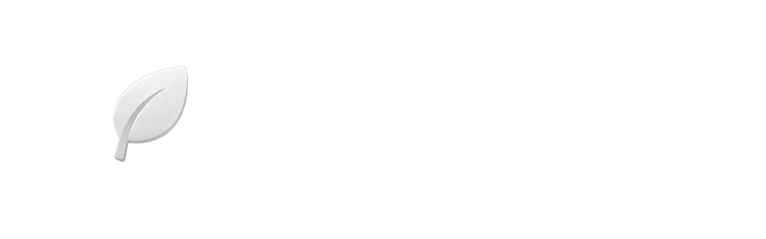server logo