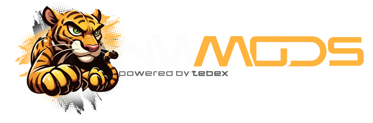 NV Mods