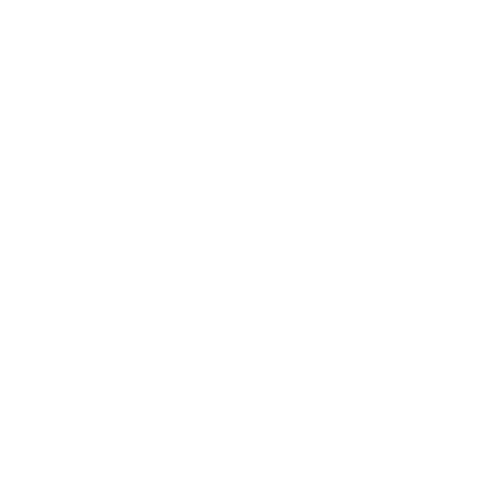 SkeletonNetworks