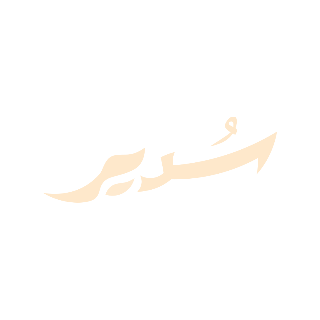 SUDAIR RP