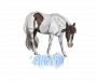 EquestriCraft