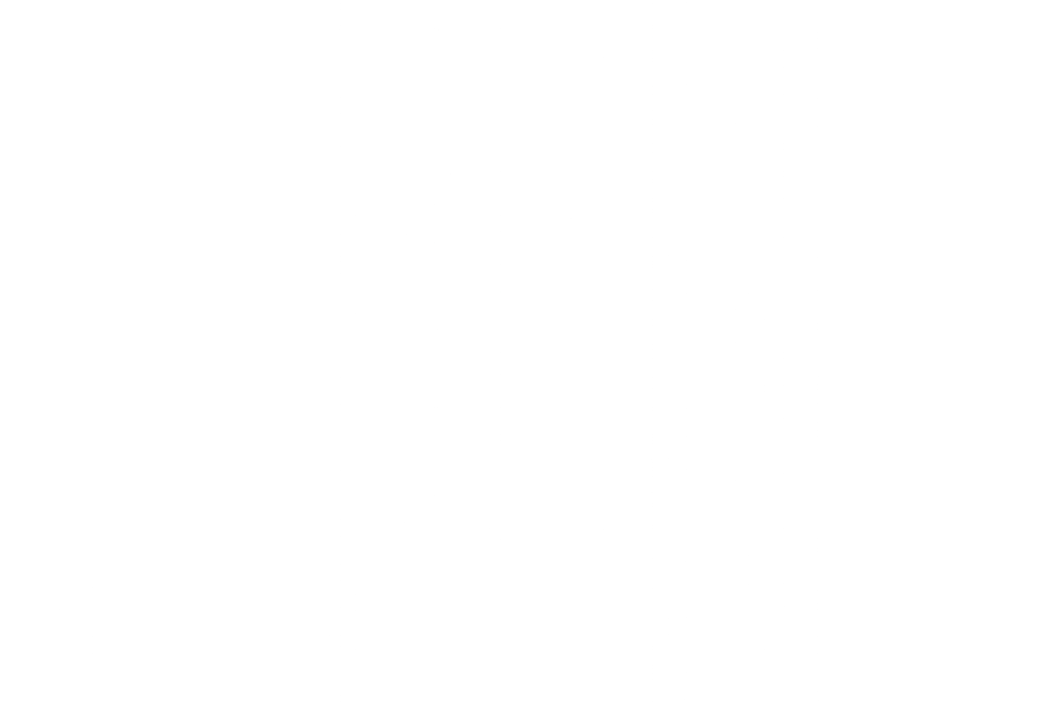 VisionSMP