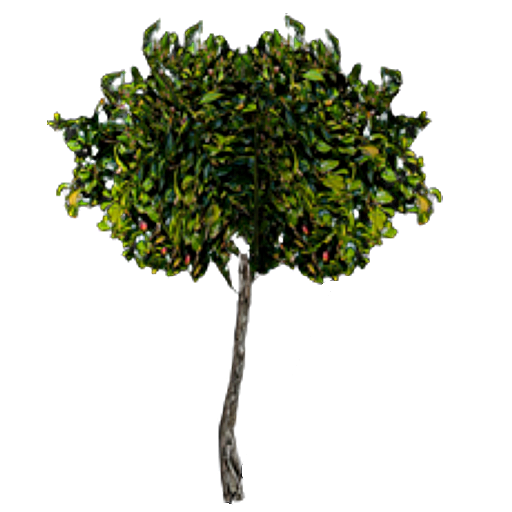 1e1d18549ddf4a516b0d7d05818f5e60c9604117.png