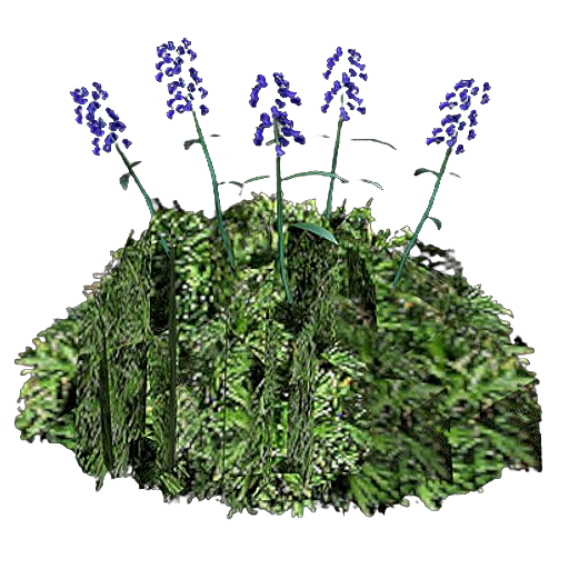 1edf87efc3a49a6130a57058ed40c45ad9e25c16.png