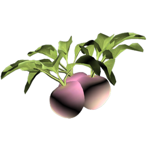 418b5b319a32b755bb2407ecbdd737a332870113.png
