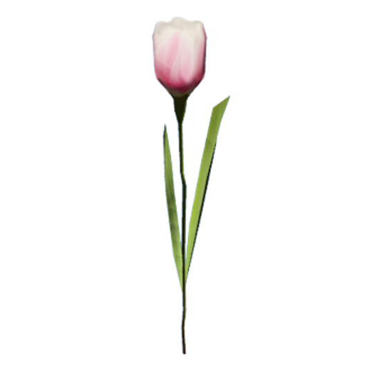 43caf397528bc3d9b6df15661d7bc1c5db8cac53.png