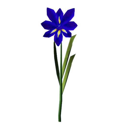 4b6a05a136619a10edaf07c7bb3e12f7f8260427.png
