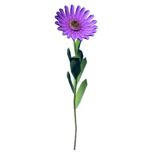 55da0fa4d04a17279b0ea732680b5d4bed8d77ab.png