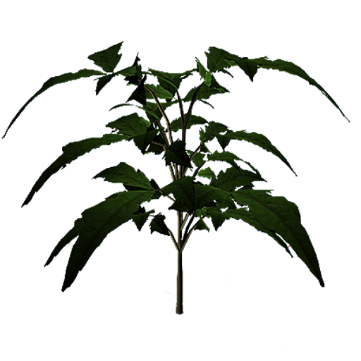 67678ba082bf56e237d983b72940068cb031fa58.png