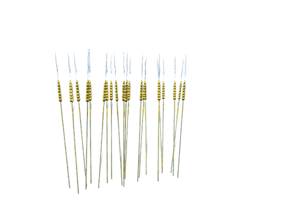 6ef167c12e69926772a5aaa06df52fc1140b929f.png