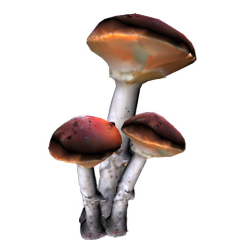 75fb0037ebfb0182f5b0207497b8f9b7e962b130.png