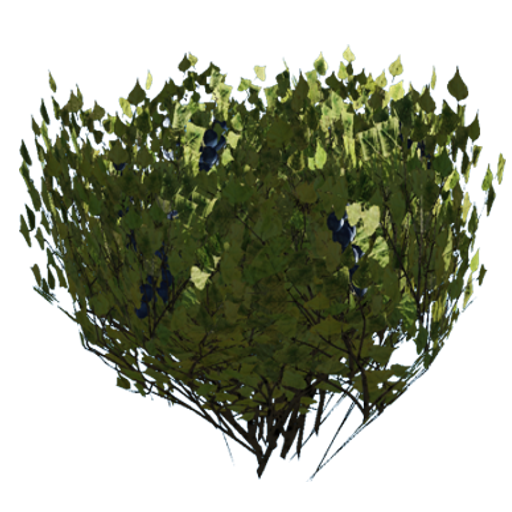 7c75c973d1660a649f2c1097beac324d7806dbb9.png