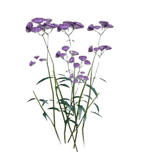 9a1a1db028af1c326eab18242d9d097d96e50c39.png