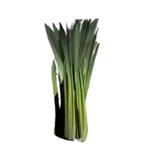 ac038e0f2ac7880077bec40cca6c0d0206f1ca2a.png