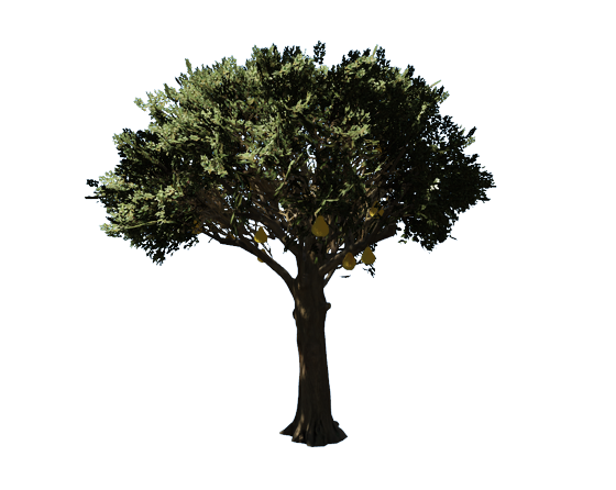 bf96131be626526b44874c94594b7c5487eed0b0.png