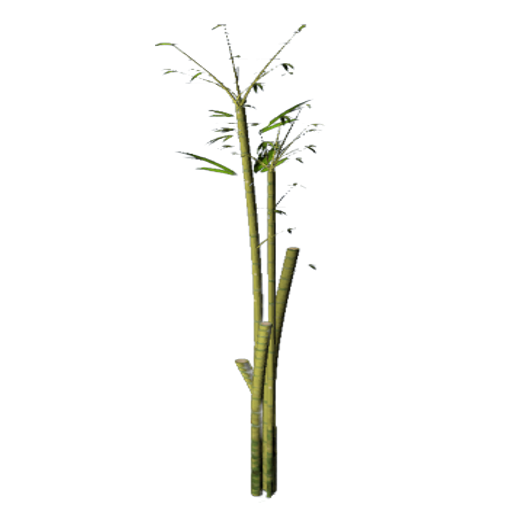 ce0766f7d76ecf49b1aaacb501584e49d487ecfc.png