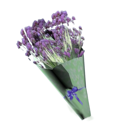 d9723ef9a6d31501322e3fc2d9be500b242839c4.png