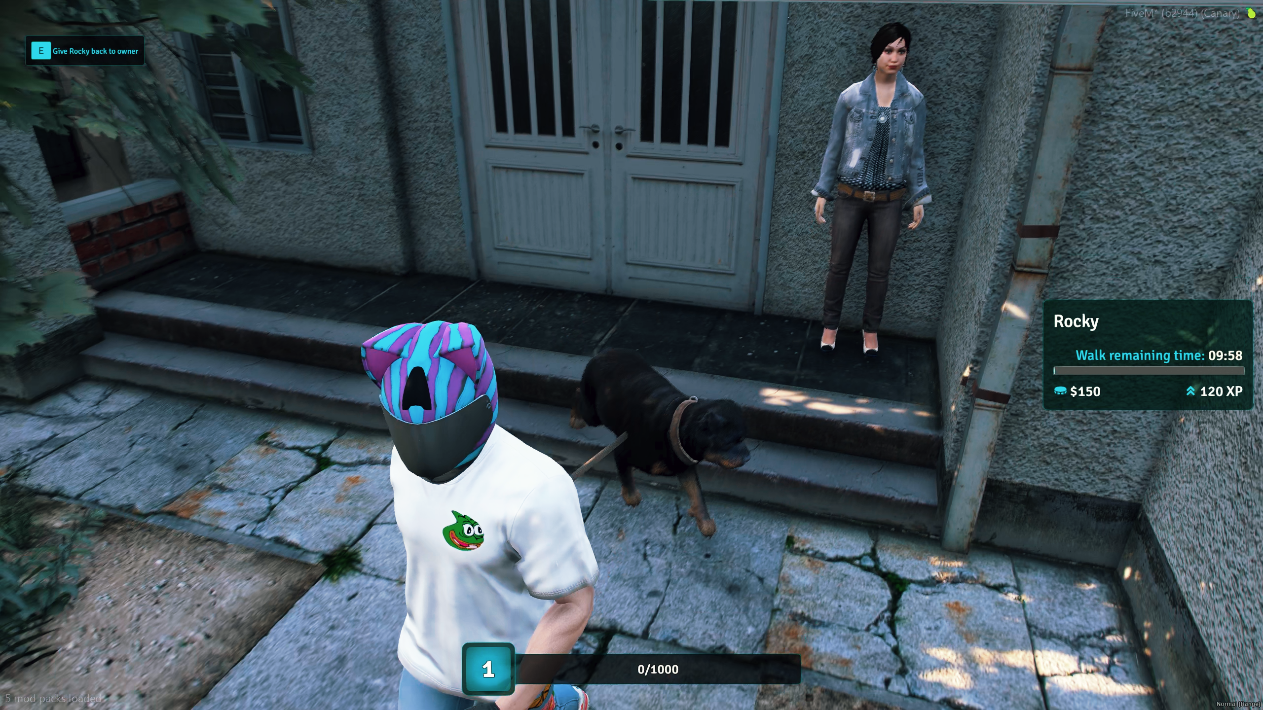 Dog Walking System