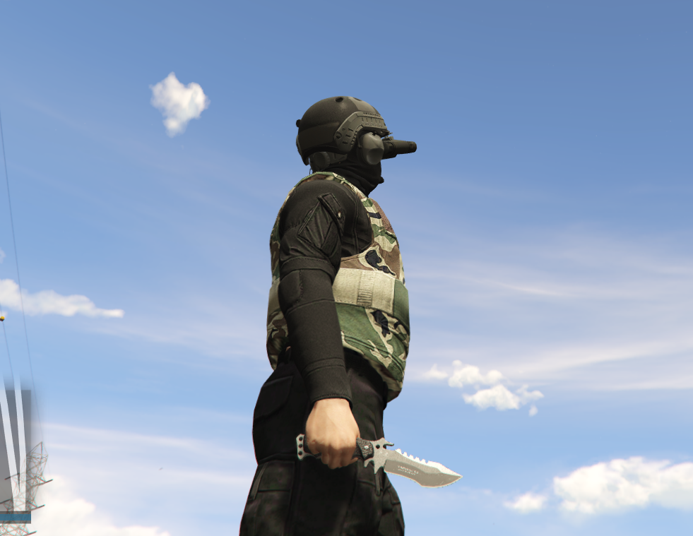 a9e2a56cbd63b5f619cd21f237acd80d1396287c.png