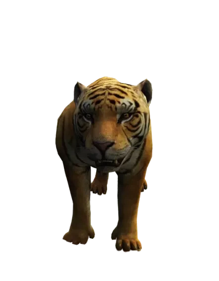 a4849d5ad0cbbdfa52e9828717cbe8f3192e49e9.webp
