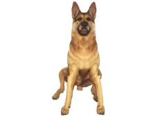 be1d76887e3024702d91e64fc2b7dee7342e1f72.webp
