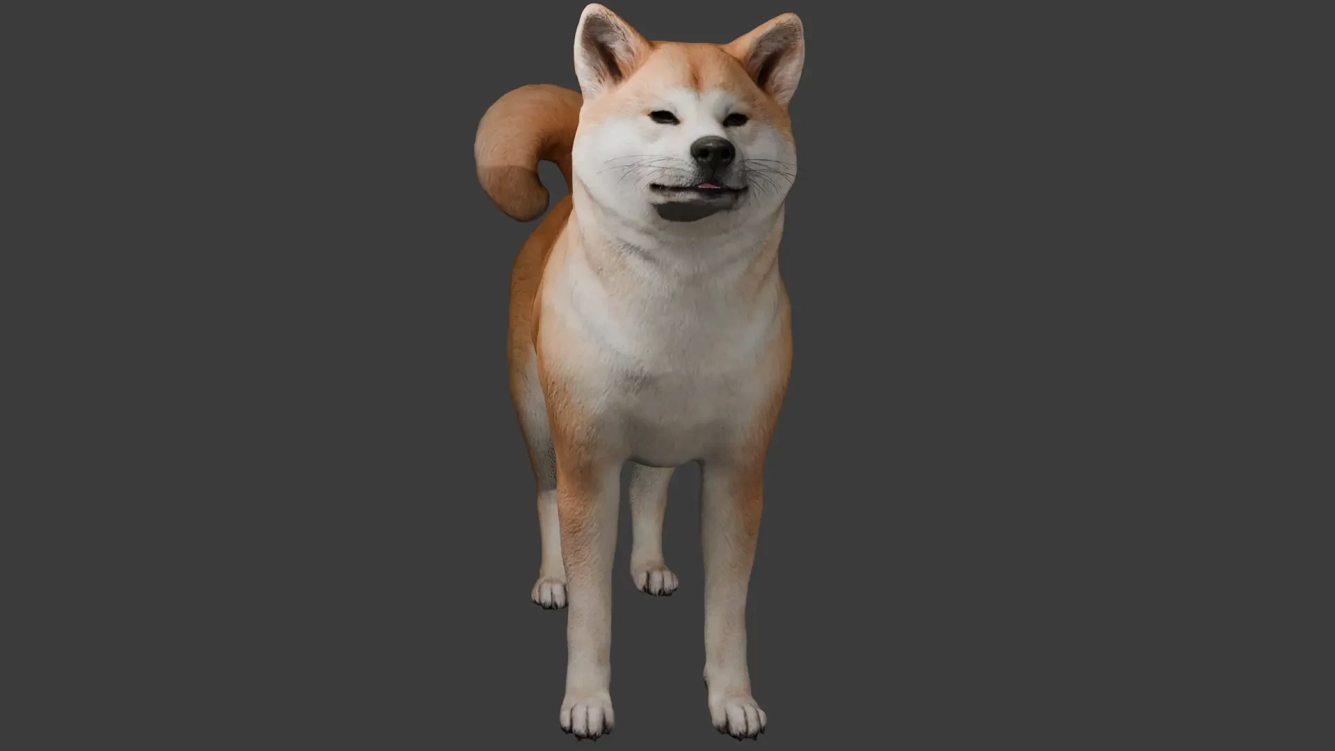 cDev | Standalone Dog – Akita