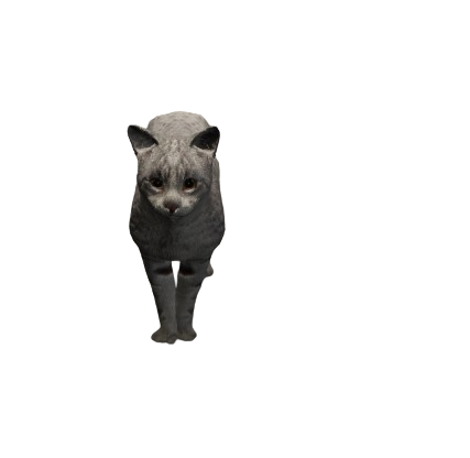 e63966c3fcbe2817cc4f0b6070868e47bd20237c.webp