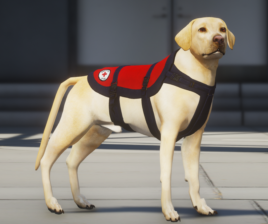 a6e8aef7eabedd700c09dfdaacb738495d0307a0.png