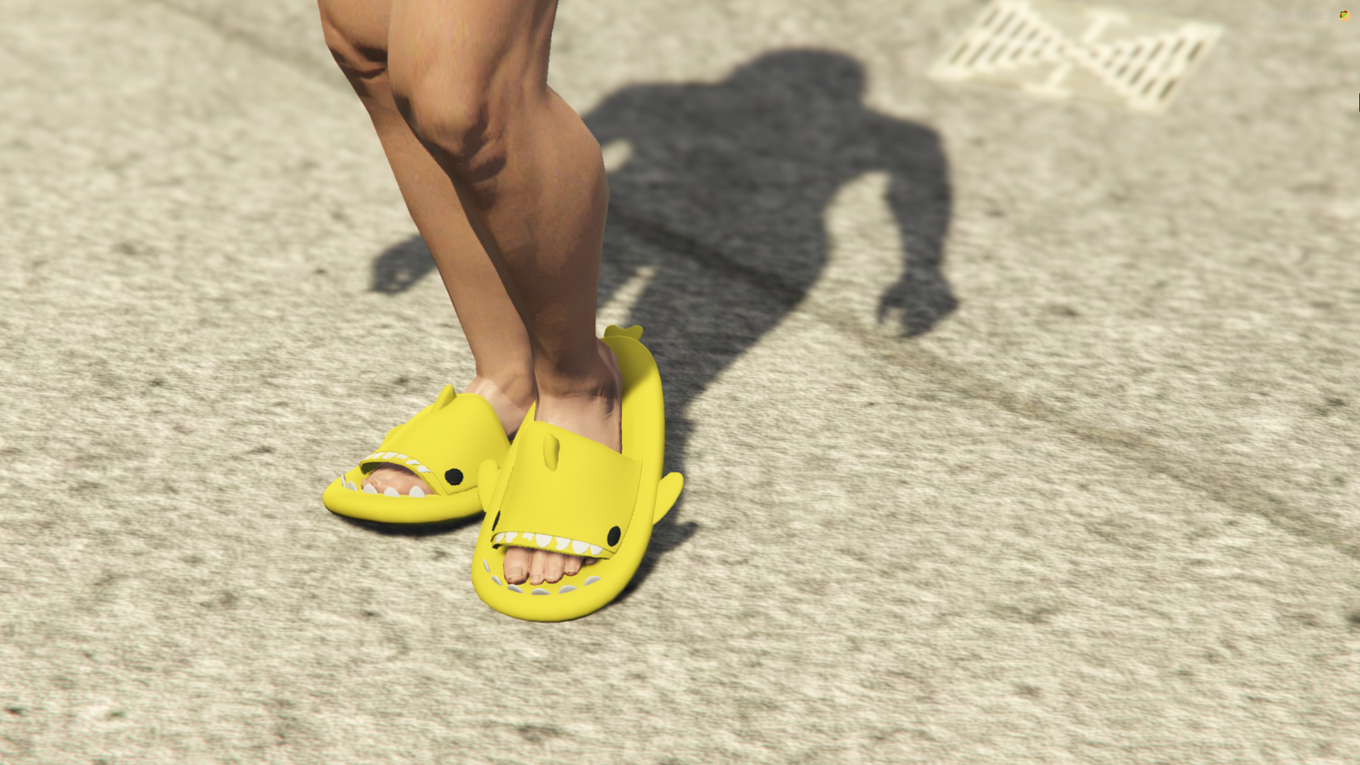 Shark Slippers 1