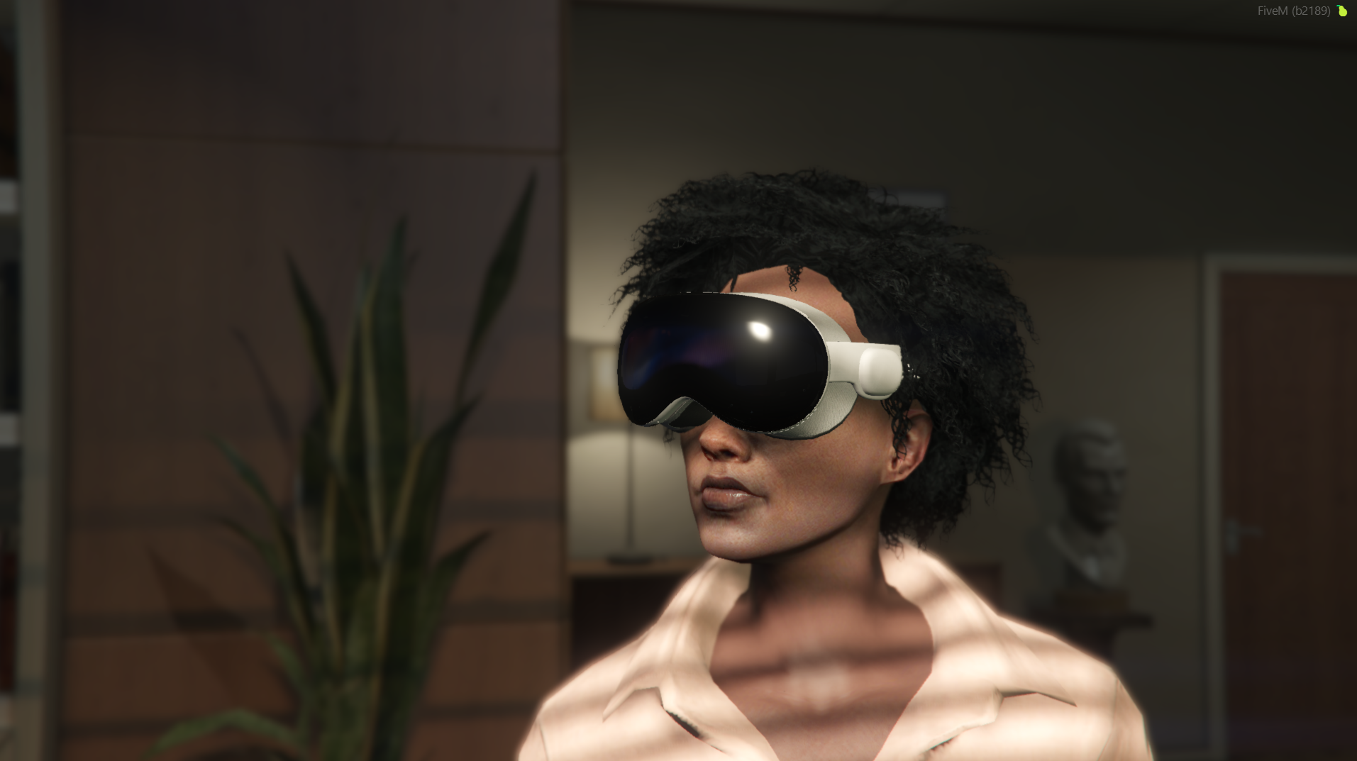 iFruit Vision Pro 1