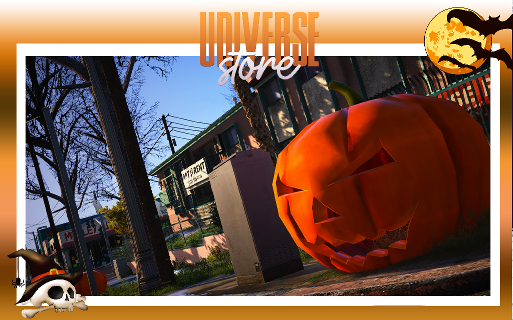 Universe Store Groove Road